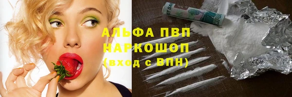 хмурый Инсар