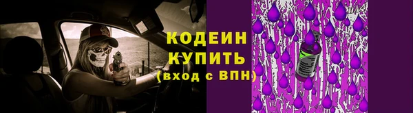 хмурый Инсар