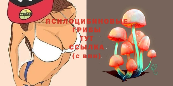 хмурый Инсар