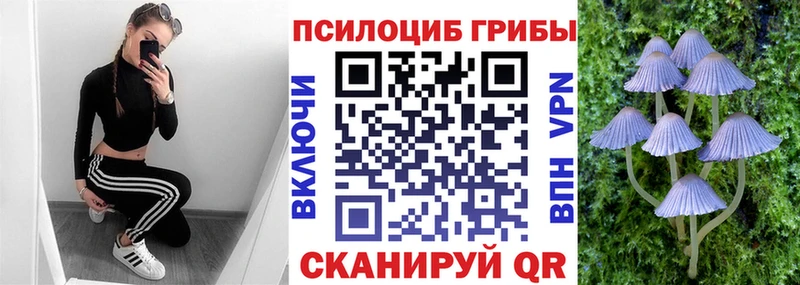 Купить где  Полесск  Галлюциногенные грибы ЛСД 